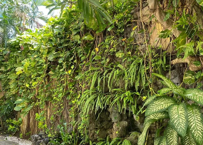 Bali Emerald *
